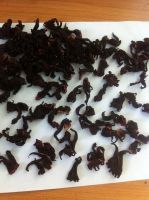 Sell Dried Hibiscus , Hibiscus seeds