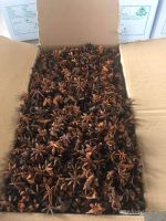 Dried star Anise