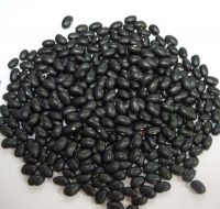 Sell small black kidney bean