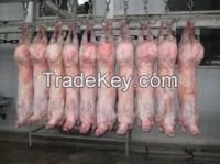 Halal Mutton Meat