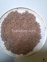 Yellow millet Schroth corn Wheat LENTILS  PELLETS