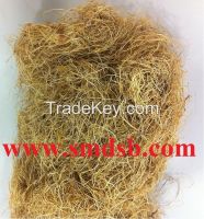 Palm Fiber & Palm oil product