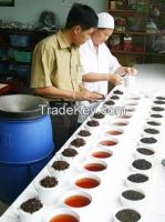 Black tea Vietnam in bulk