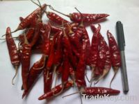 Sell dry red chilli