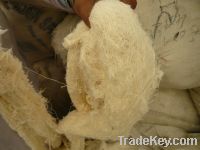 Sell cotton yarn waste