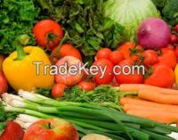 Fresh Vegetables