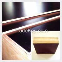 formwork plywood