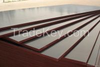 film faced plywood for middle east market