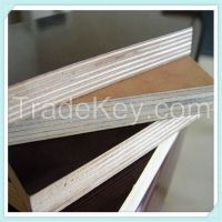 1250x2500x18mm size film faced plywood