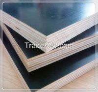 finger joint plywood for construction