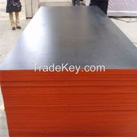 low price marine plywood for middle east market
