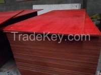 film faced plywood for middle east market