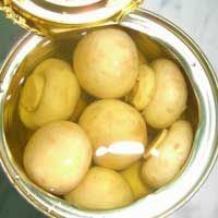 WHOLE CHAMPION MUSHROOM PRESERVED IN BRINE