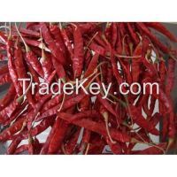 Dry Red  chillies, chiliy, chili