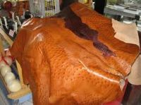 FS:: OFFER LEATHER OSTRICH  RAW PROCESS RARE PRODUCT