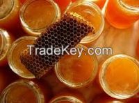 Sell Propolis