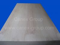 Sell Pine Plywood/CDX Plywood