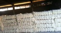 Sell 100% Raw Natural Sisal Fiber at Competitive Price with Free Samples