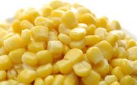 Premium Yellow corn