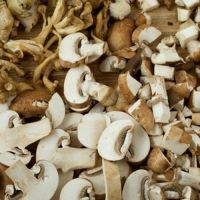 Assorted edible mushrooms