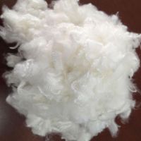 Recycled and virgin Polyster Staple fiber