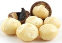 100% Natural Macadamia nuts/kernel - raw and roasted