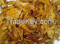 Unprocessed Tobacco Buyers Wanted