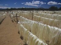 Raw Natural Sisal Fiber Selling At Competitive Price