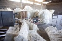 Kenyan Oringin Sisal Fiber At Competitive Price With Free Samples