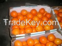 Sell Fresh Fruits Orange / Apple / Banana