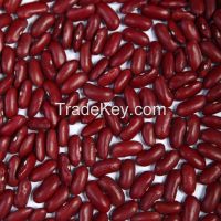 Red Kidney Beans