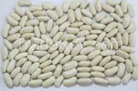 White Kidney Beans , Long White Kidney Beans, White Kidney Beans