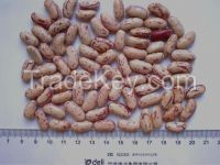 Light speckled kidney beans