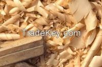 Wood Shavings With Low Price From Thailand