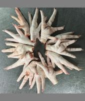 Frozen Chicken Feet/Paws