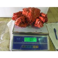 Russian Bulk Frozen Red King Crab