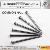 6cm/10cm length galvanized common nail, wire nail