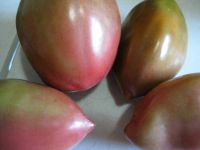 Purple Russian Tomato