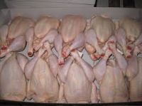 Halal Certified Grade A whole frozen chicken for sale.