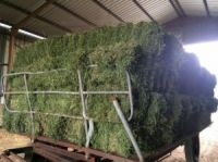 Lucerne Hay Bales, Afalfa Seeds, Timothy Hay, Oats Hay