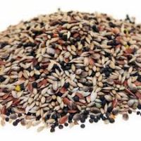 Canary Seed and Bird Mix Seed