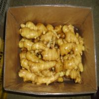 Ginger/Fresh Ginger/Air-Dried Ginger