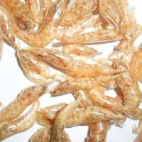 Dried Shrimp Pet Food