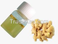 Top quality Natural Ginger Oil /Ginger Oleoresin