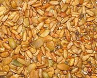 Salted & Roasted Seeds Mixes