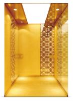 Sweden Branded High Quality, Safe And Reliable Villa Elevator Lift With Afordable Price.