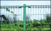 Sell Protection Netting,Fence,Diamond Wire Mesh,Protecting Fence