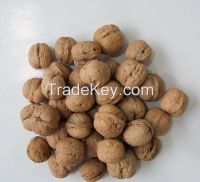 Sell Walnut/ Walnut kernels