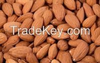 Sell sweet Almond Nuts