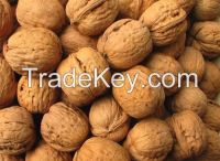 Sell Walnut Kernels